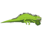 Rhinoceros Iguana Sticker
